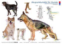 Tierakupunktur Akupunkturtafel für Hunde von Krokowski,  Carola
