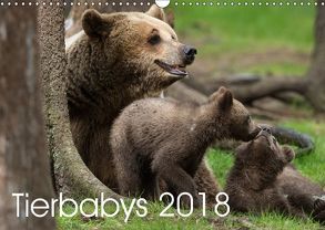 Tierbabys 2018 (Wandkalender 2018 DIN A3 quer) von Schörkhuber,  Johann