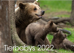 Tierbabys 2022 (Wandkalender 2022 DIN A2 quer) von Schörkhuber,  Johann