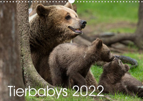 Tierbabys 2022 (Wandkalender 2022 DIN A3 quer) von Schörkhuber,  Johann