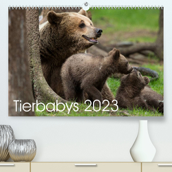 Tierbabys 2023 (Premium, hochwertiger DIN A2 Wandkalender 2023, Kunstdruck in Hochglanz) von Schörkhuber,  Johann