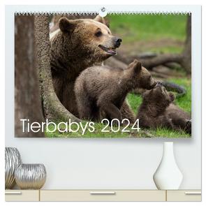 Tierbabys 2024 (hochwertiger Premium Wandkalender 2024 DIN A2 quer), Kunstdruck in Hochglanz von Schörkhuber,  Johann