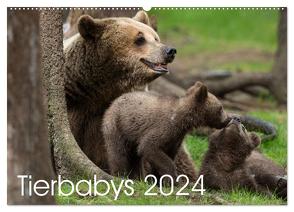 Tierbabys 2024 (Wandkalender 2024 DIN A2 quer), CALVENDO Monatskalender von Schörkhuber,  Johann