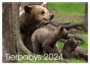 Tierbabys 2024 (Wandkalender 2024 DIN A3 quer), CALVENDO Monatskalender von Schörkhuber,  Johann