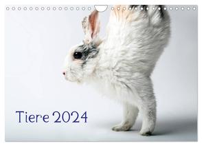 Tiere 2024 (Wandkalender 2024 DIN A4 quer), CALVENDO Monatskalender von Zwanzger,  Wolfgang