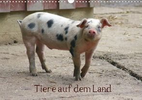 Tiere auf dem Land (Posterbuch DIN A3 quer) von Kattobello,  k.A.