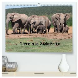 Tiere aus Südafrika (hochwertiger Premium Wandkalender 2024 DIN A2 quer), Kunstdruck in Hochglanz von W. Bruechle,  Dr.