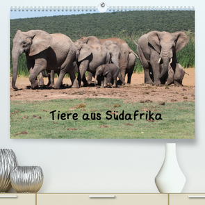 Tiere aus Südafrika (Premium, hochwertiger DIN A2 Wandkalender 2023, Kunstdruck in Hochglanz) von W. Bruechle,  Dr.