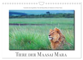 Tiere der Maasai Mara (Wandkalender 2024 DIN A4 quer), CALVENDO Monatskalender von Tewes,  Rainer