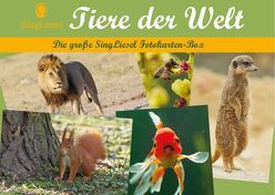 Tiere der Welt – Fotokarten für Senioren