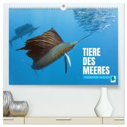 Tiere des Meeres: Faszination Tauchen (hochwertiger Premium Wandkalender 2024 DIN A2 quer), Kunstdruck in Hochglanz von CALVENDO,  CALVENDO