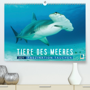 Tiere des Meeres: Faszination Tauchen (Premium, hochwertiger DIN A2 Wandkalender 2021, Kunstdruck in Hochglanz) von CALVENDO