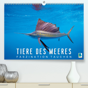 Tiere des Meeres: Faszination Tauchen (Premium, hochwertiger DIN A2 Wandkalender 2020, Kunstdruck in Hochglanz) von CALVENDO