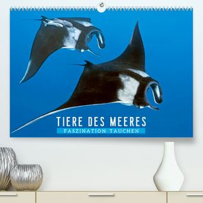Tiere des Meeres: Faszination Tauchen (Premium, hochwertiger DIN A2 Wandkalender 2022, Kunstdruck in Hochglanz) von CALVENDO