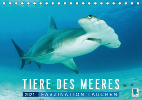 Tiere des Meeres: Faszination Tauchen (Tischkalender 2021 DIN A5 quer) von CALVENDO