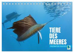 Tiere des Meeres: Faszination Tauchen (Tischkalender 2024 DIN A5 quer), CALVENDO Monatskalender von CALVENDO,  CALVENDO