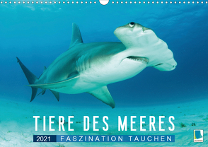 Tiere des Meeres: Faszination Tauchen (Wandkalender 2021 DIN A3 quer) von CALVENDO