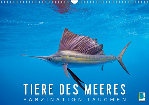 Tiere des Meeres: Faszination Tauchen (Wandkalender 2021 DIN A3 quer) von CALVENDO