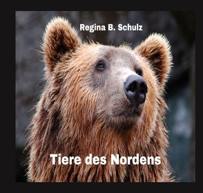 Karla Kullerkeks erzählt dir was / Tiere des Nordens von Schulz,  Regina