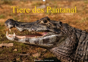 Tiere des Pantanal (PosterbuchDIN A2 quer) von Woehlke,  Juergen