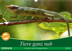 Tiere ganz nah – Porträts und Schnappschüsse (Wandkalender 2020 DIN A3 quer) von Gärtner,  Oliver