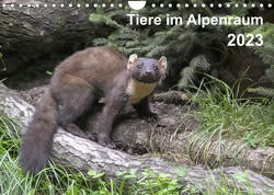 Tiere im Alpenraum (Wandkalender 2023 DIN A4 quer) von Christian Widdmann,  Uwe