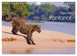 Tiere im Pantanal – viaje.ch (Wandkalender 2024 DIN A4 quer), CALVENDO Monatskalender von viaje.ch,  ©