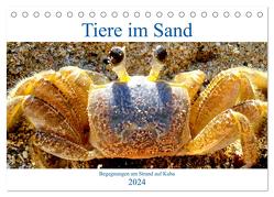 Tiere im Sand – Begegnungen am Strand auf Kuba (Tischkalender 2024 DIN A5 quer), CALVENDO Monatskalender von von Loewis of Menar,  Henning