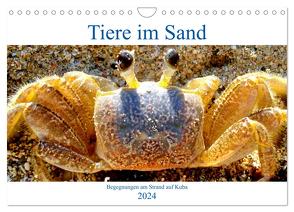 Tiere im Sand – Begegnungen am Strand auf Kuba (Wandkalender 2024 DIN A4 quer), CALVENDO Monatskalender von von Loewis of Menar,  Henning