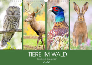 Tiere im Wald. Bezaubernde Begegnungen (Wandkalender 2022 DIN A3 quer) von Hurley,  Rose