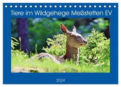 Tiere im Wildgehege Meßstetten EV (Tischkalender 2024 DIN A5 quer), CALVENDO Monatskalender von Geiger,  Günther