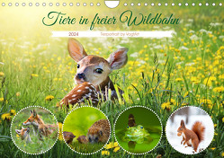 Tiere in freier Wildbahn by VogtArt (Wandkalender 2024 DIN A4 quer) von VogtArt