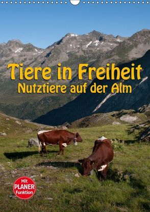 Tiere in Freiheit – Nutztiere auf der Alm (Wandkalender 2019 DIN A3 hoch) von Niederkofler,  Georg