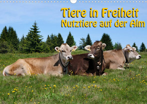 Tiere in Freiheit – Nutztiere auf der Alm (Wandkalender 2022 DIN A3 quer) von Niederkofler,  Georg