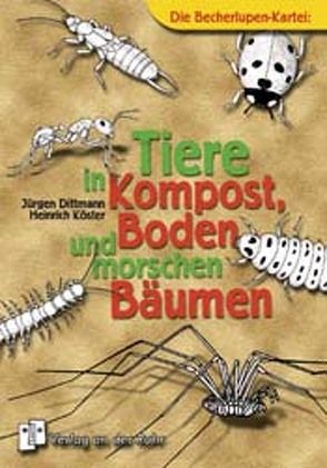 Tiere in Kompost, Boden und morschen Bäumen von Dittmann,  Jürgen, Köster,  Heinrich