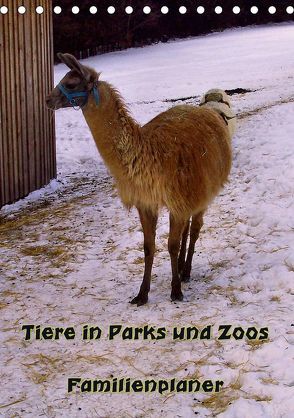 Tiere in Parks und Zoos – Familienplaner (Tischkalender 2019 DIN A5 hoch) von Schneller,  Helmut
