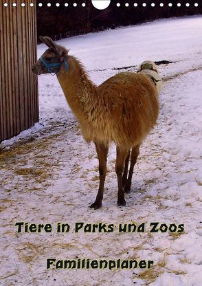 Tiere in Parks und Zoos – Familienplaner (Wandkalender 2019 DIN A4 hoch) von Schneller,  Helmut