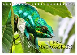 Tiere Madagaskars (Tischkalender 2024 DIN A5 quer), CALVENDO Monatskalender von Baur,  Céline