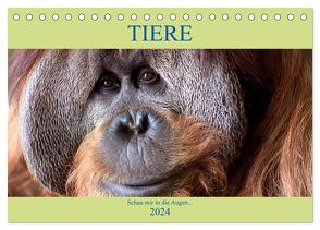 Tiere Schau mir in die Augen (Tischkalender 2024 DIN A5 quer), CALVENDO Monatskalender von Joecks,  Armin