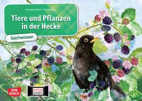 Tiere und Pflanzen in der Hecke. Kamishibai Bildkartenset von Klars,  Monika, Stöckl-Bauer,  Katharina
