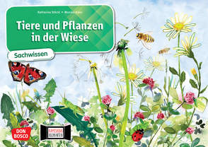 Tiere und Pflanzen in der Wiese. Kamishibai Bildkartenset von Klars,  Monika, Stöckl-Bauer,  Katharina