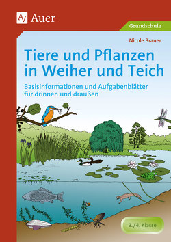 Tiere und Pflanzen in Weiher und Teich von Brauer,  Nicole
