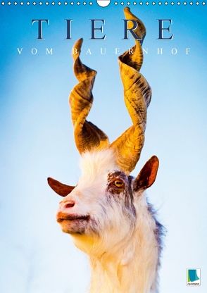 Tiere vom Bauernhof (Wandkalender 2018 DIN A3 hoch) von CALVENDO