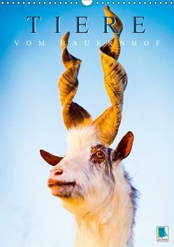 Tiere vom Bauernhof (Wandkalender 2019 DIN A3 hoch) von CALVENDO