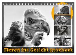 Tieren ins Gesicht geschaut (Tischkalender 2024 DIN A5 quer), CALVENDO Monatskalender von Gödecke,  Dieter