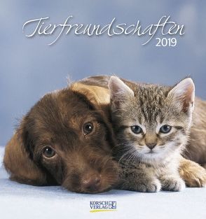 Tierfreundschaften (PK) 233919 2019 von Korsch Verlag