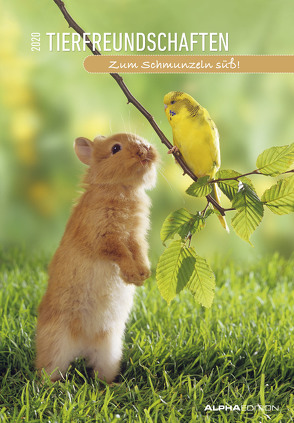 Tierfreundschaften 2020 – Animal Friendships – Bildkalender (24 x 34) – Tierkalender – mit lustigen Sprüchen – Wandkalender von ALPHA EDITION