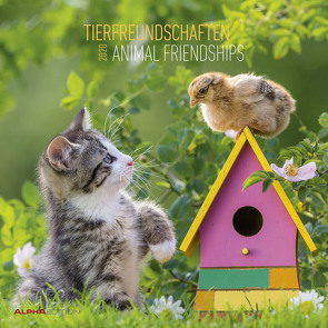 Tierfreundschaften 2020 – Animal Friendships – Wandkalender – Broschürenkalender (30 x 60 geöffnet) – Tierkalender – Wandplaner von ALPHA EDITION