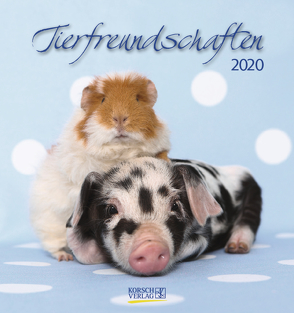 Tierfreundschaften 2020 von Korsch Verlag