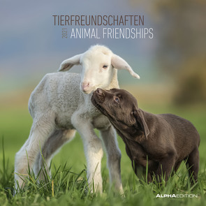 Tierfreundschaften 2021 – Broschürenkalender 30×30 cm (30×60 geöffnet) – Animal Friendships – Bild-Kalender – Wandplaner – mit Platz für Notizen – Alpha Edition